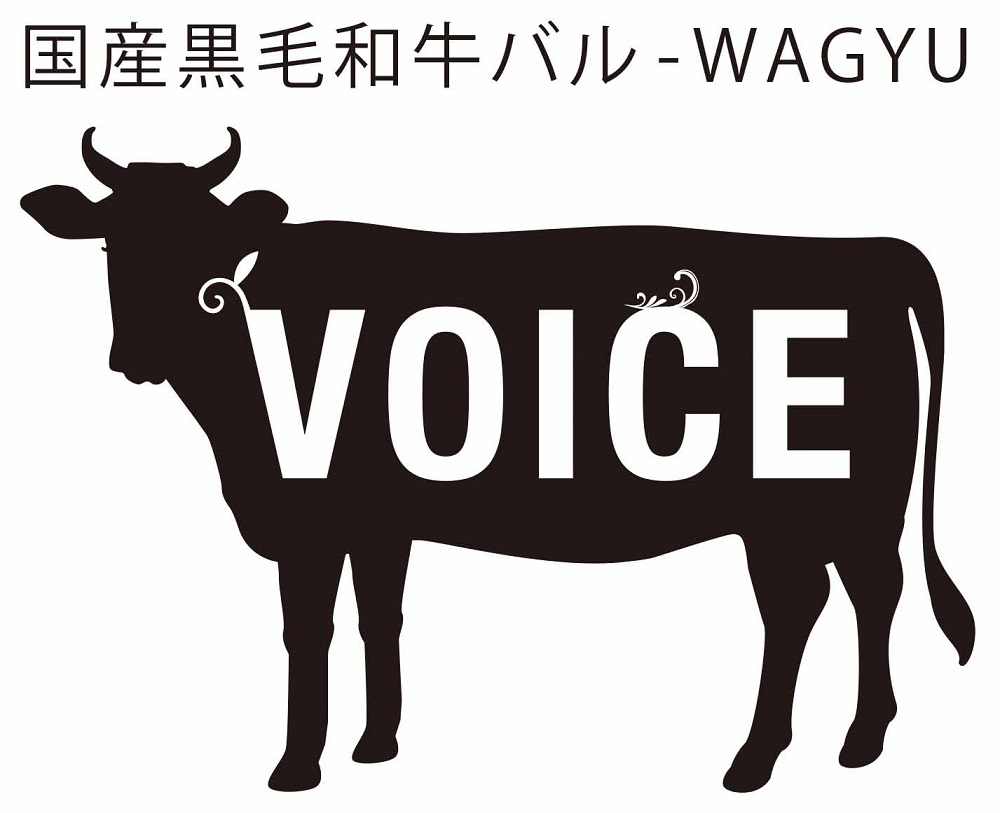 voice-g